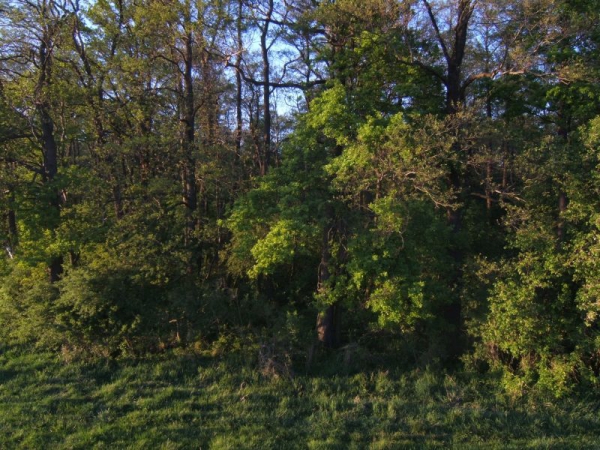 Nasze łowiska