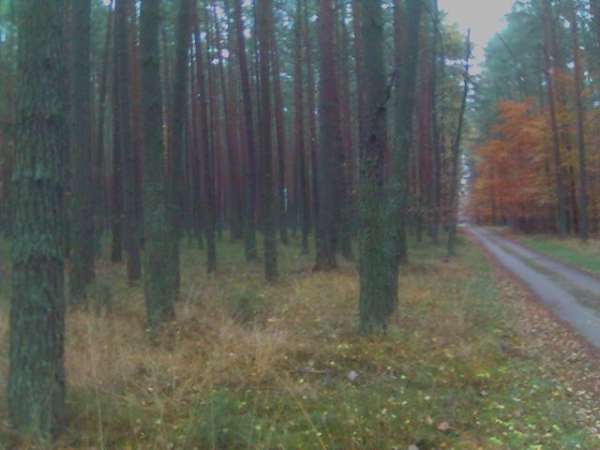 Nasze łowiska