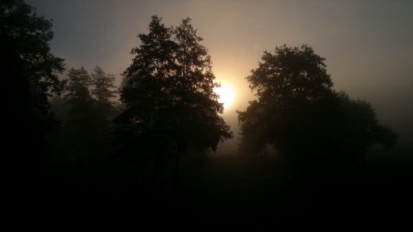 Wesołych Świąt Bożego Narodzenia