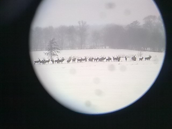 Wesołych Świąt Bożego Narodzenia